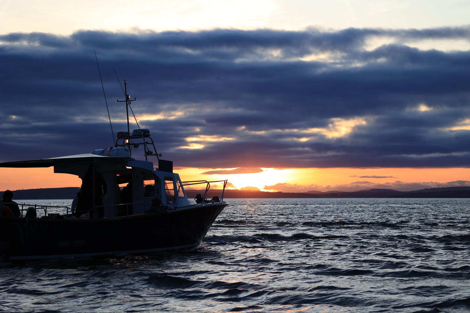 Private Boat Trips in Kinsale Harbour